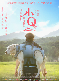 《鹿鼎记》第一部的另一大亮点要数片尾林青霞的惊艳亮相。